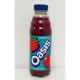 strawberry oasis bottle 500ml 